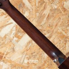 Breedlove Wildwood CA Suede CE 2020's_7