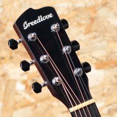 Breedlove Wildwood CA Suede CE 2020's_8