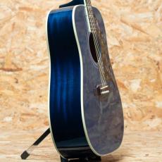 Gibson Miranda Lambert Bluebird_4