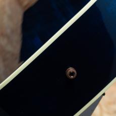 Gibson Miranda Lambert Bluebird_10