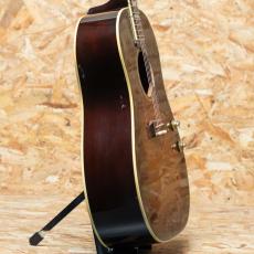 Gibson J-160E 2001_4