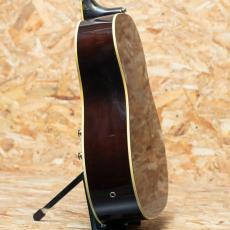 Gibson J-160E 2001_5