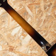 Breedlove Artista CO Burnt Amber CE 2022_7