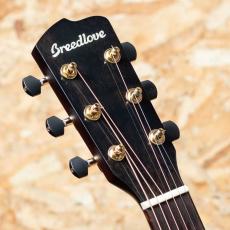 Breedlove Artista CO Burnt Amber CE 2022_8
