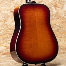 Epiphone Masterbilt Frontier Iced Tea Aged Gloss_2