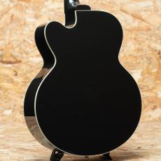 Gibson Les Paul Parlor Aoustic VS_2