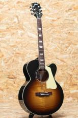 Gibson Les Paul Parlor Aoustic VS_3