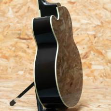 Gibson Les Paul Parlor Aoustic VS_5