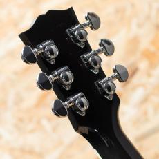 Gibson Les Paul Parlor Aoustic VS_9