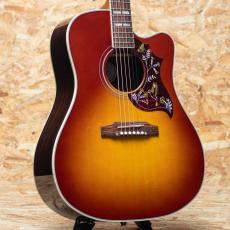 Gibson Hummingbird Standard Rosewood EC