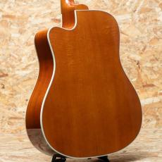 Gibson Hummingbird Standard EC_2