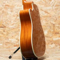 Gibson Hummingbird Standard EC_5