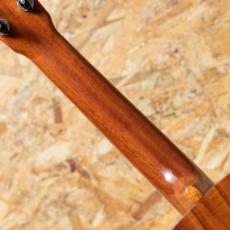 G-String Hawaiian Style Concert 2000's_7