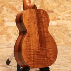 Kamaka HF-2DI Concert_2