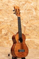 Kamaka HF-2DI Concert_3