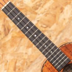 Kamaka HF-2DI Concert_6