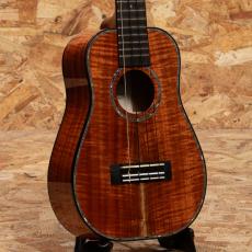 Kamaka HB-2D2 Concert Semi Long Neck