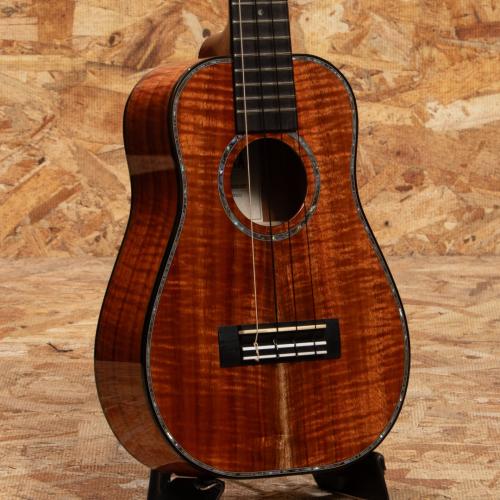 Kamaka HB-2D2 Concert Semi Long Neck