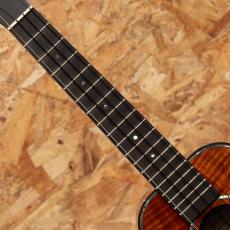 Kamaka HB-2D2 Concert Semi Long Neck_6
