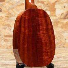 Kamaka HP-1D Soprano Pineapple 2020_2