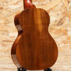 Kamaka HF-2L Concert Long Neck 2012_2