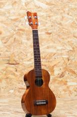 Kamaka HF-2L Concert Long Neck 2012_3