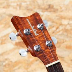 Kamaka HF-2L Concert Long Neck 2012_8