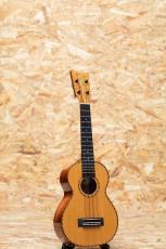 Kamaka HF-2DS Concert 2021_3