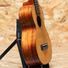 Kamaka HF-2DS Concert 2021_4