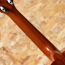 Kamaka HF-2DS Concert 2021_7