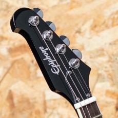 Epiphone Mandobird_4