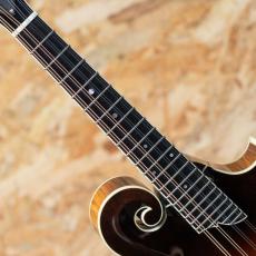 Collings MF5_6