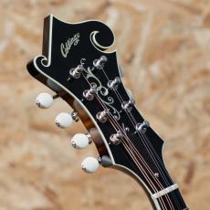 Collings MF5_8