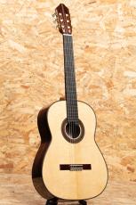 Claudia Francesca D'Ammassa SpruceDT / IERW 2023_3