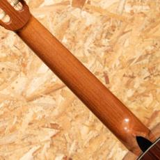 Claudia Francesca D'Ammassa SpruceDT / IERW 2023_7