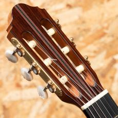 Claudia Francesca D'Ammassa SpruceDT / IERW 2023_8