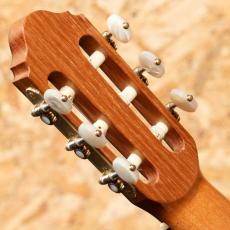 Claudia Francesca D'Ammassa SpruceDT / IERW 2023_9