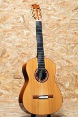Marchione Guitars Classical Swiss Spruce / Madagascar Rosewood_3