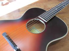 Epiphone Masterbilt Zenith_3