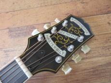 Epiphone Masterbilt Zenith_4
