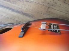 Epiphone Masterbilt Zenith_10