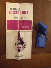 YAMAHA AE-18 (1976)_10