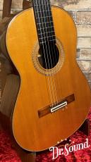 Paulino Bernabe [パウリーノ・ベルナベ] Concierto 2019年製_3