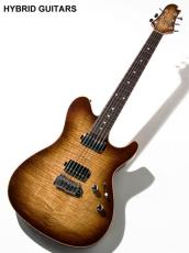 Sugi DS496 R ECM / AT BSGB 2012_3