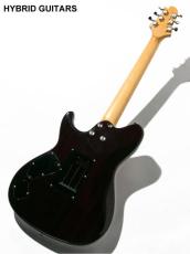 Sugi DS496 R ECM / AT BSGB 2012_4