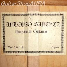 Antonio Sanchez　[アントニオ・サンチェス] 1018_5