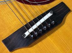 Gibson HUMMINGBIRD CS_10