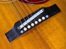 Gibson HUMMINGBIRD CS_10