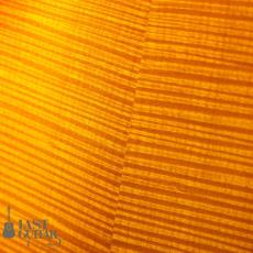 Rozeo Ladybug Ltd.#074_10