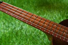 tkitki ukulele Style-0C17 UPT Concert #1【Nostalgic Series】_7